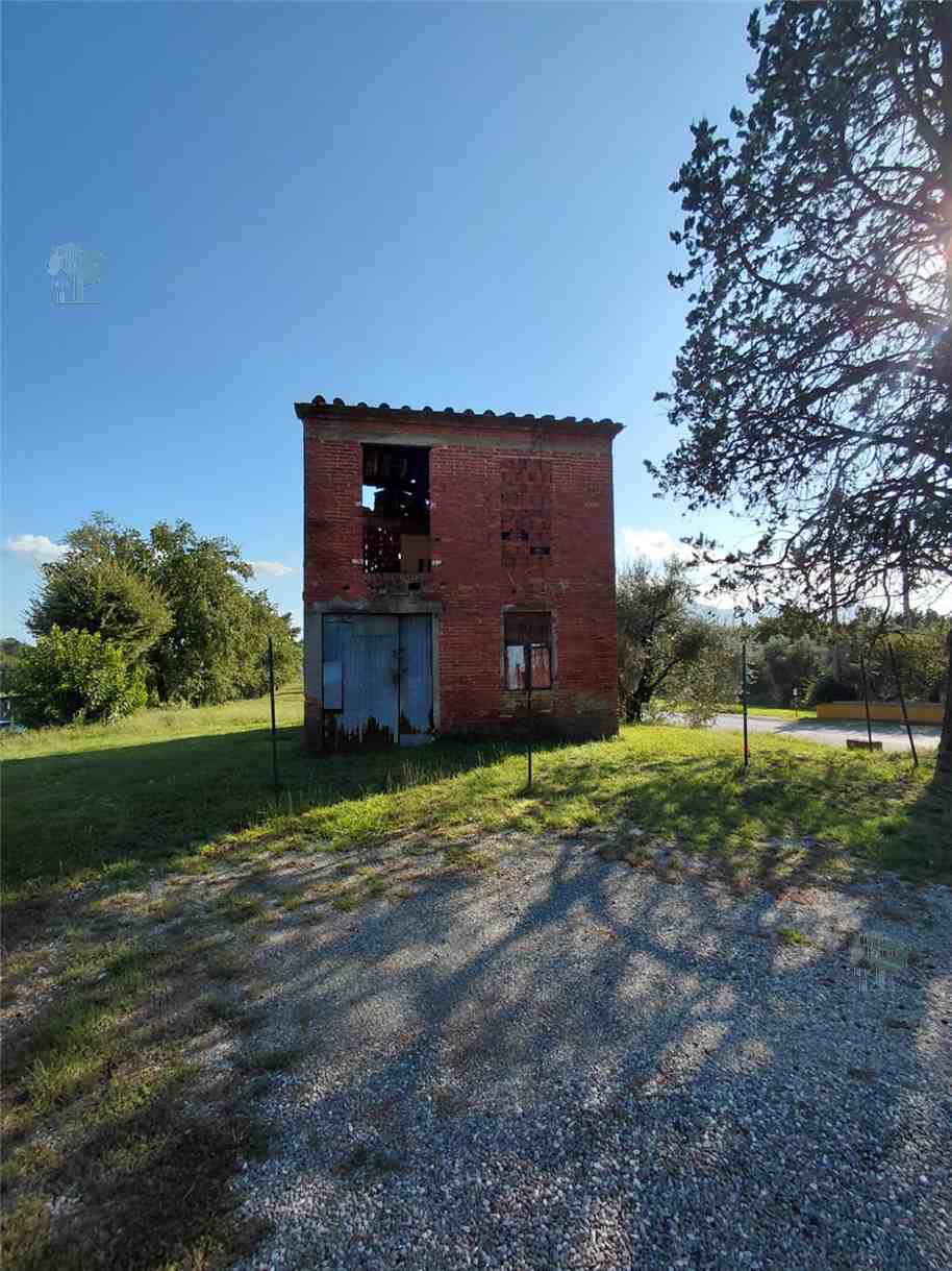 Vendita Rustico/Casa di campagna Montecarlo #509 n.3