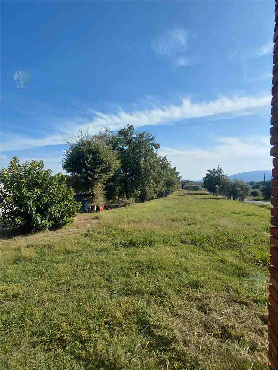 Vendita Rustico/Casa di campagna Montecarlo #509 n.5