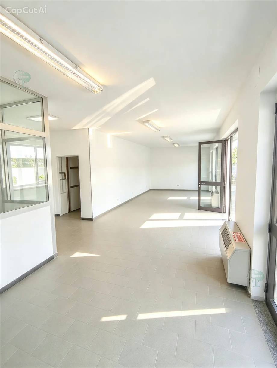 Locale commerciale Capannori 517