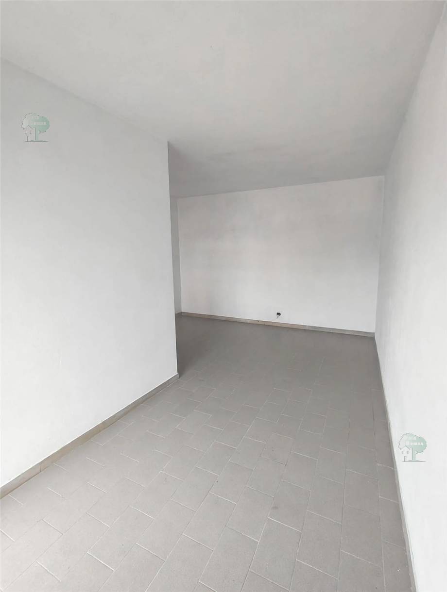Affitto Locale commerciale Capannori  #517 n.4