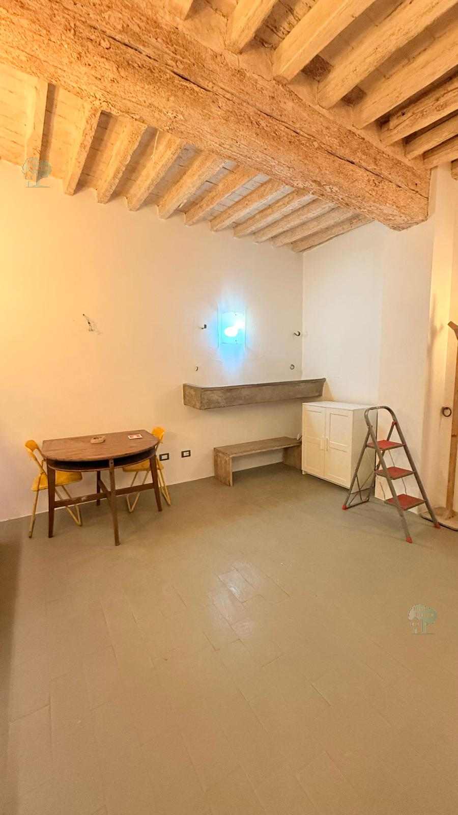 Locale commerciale Lucca 524