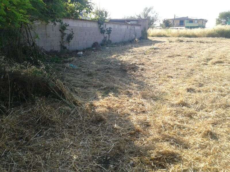 Agricultural land Roma #Rm1