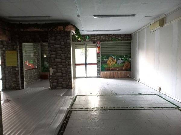 Vendita Locale commerciale Roma Dragoncello #78 n.22