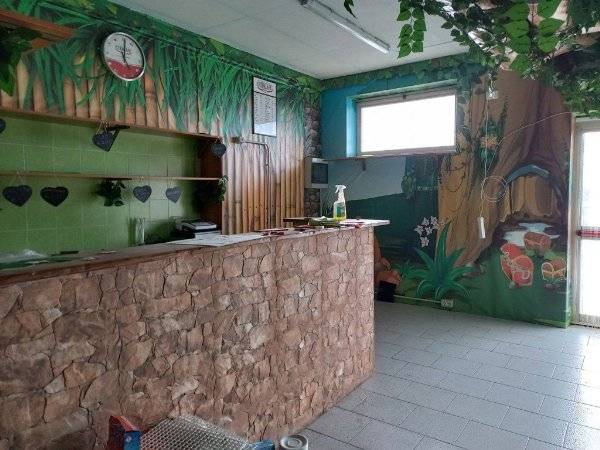 Vendita Locale commerciale Roma Dragoncello #78 n.3