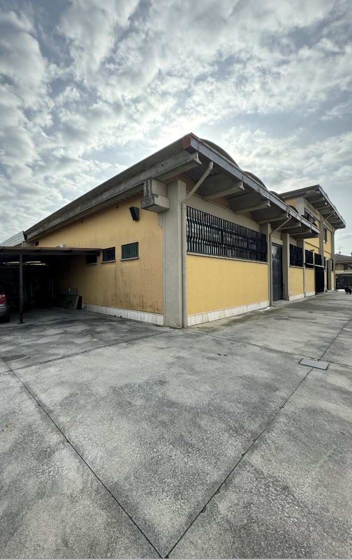 Warehouse Pieve a Nievole 38
