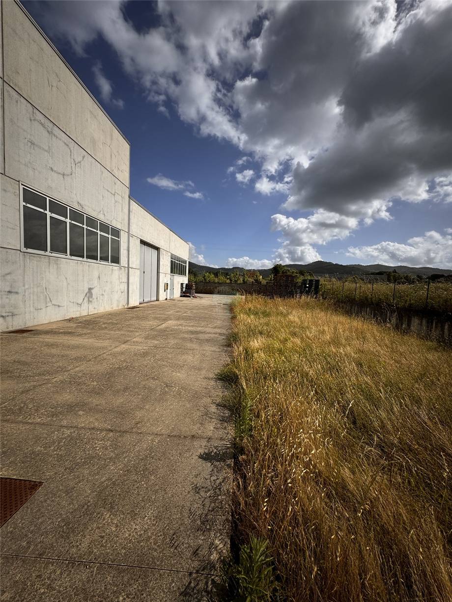 For sale Warehouse Larciano  #3105 n.2