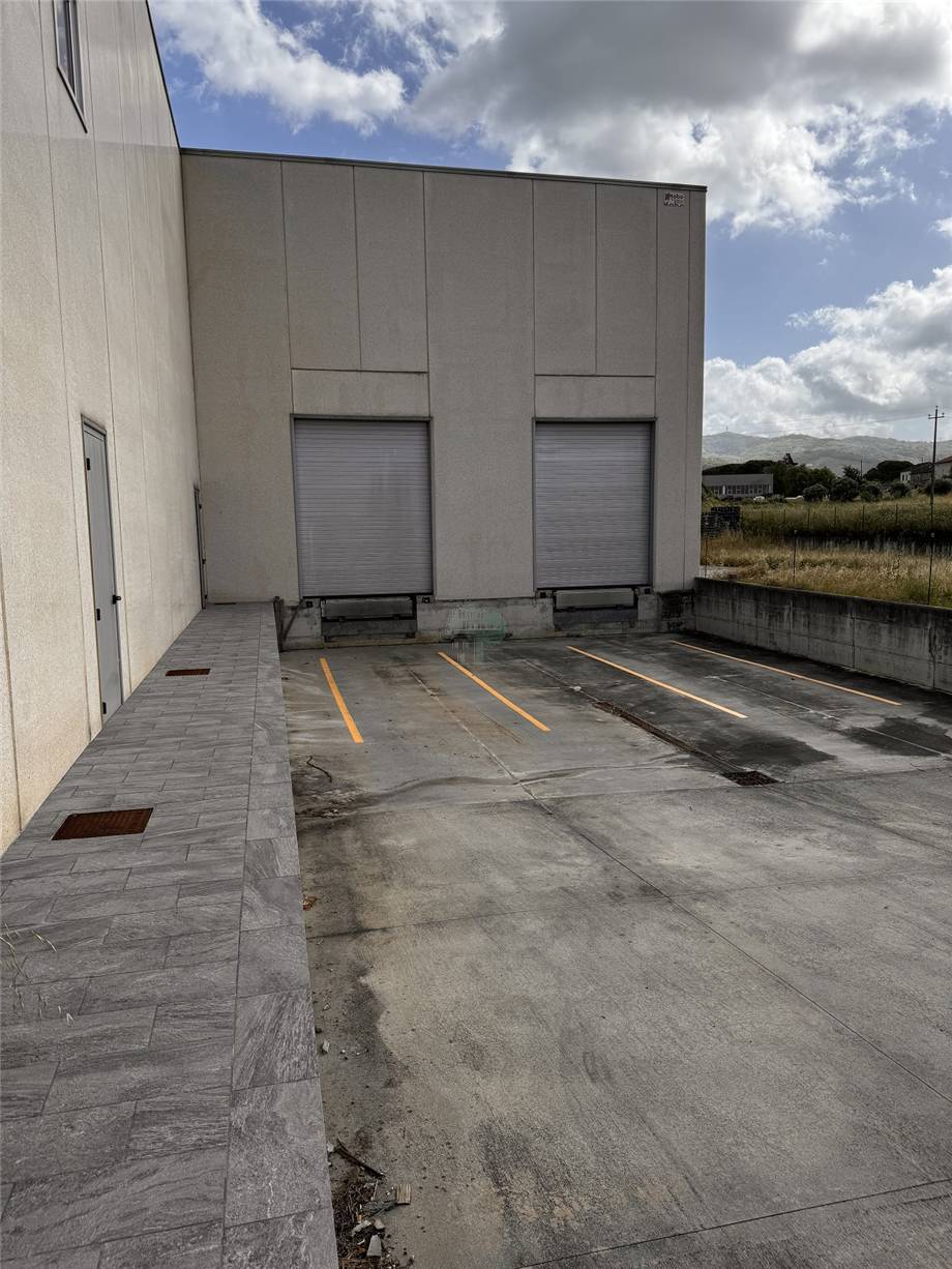For sale Warehouse Larciano  #3105 n.5