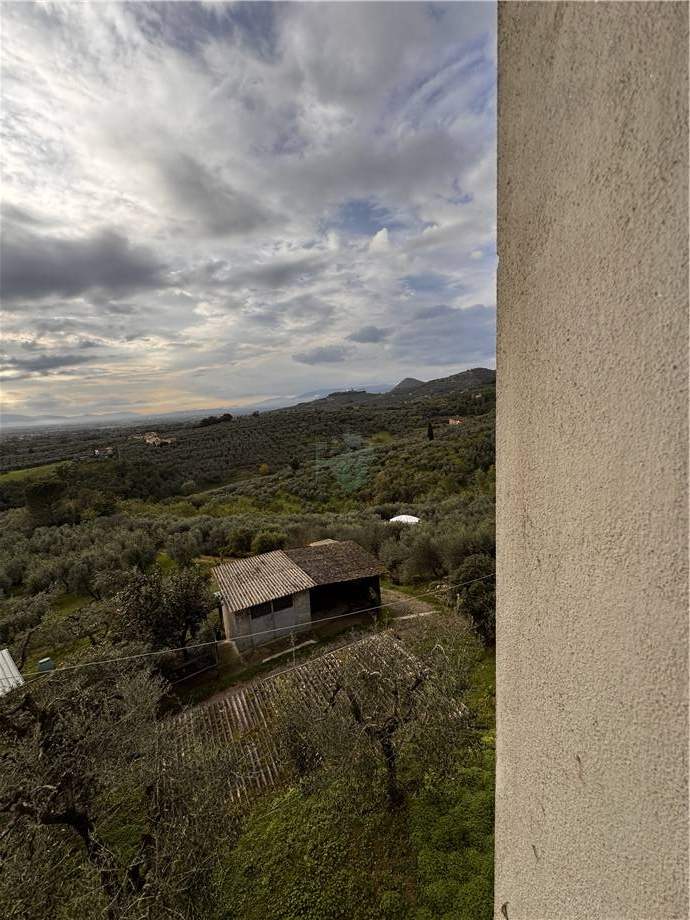 For sale Single-family Villa Larciano  #1002 n.4