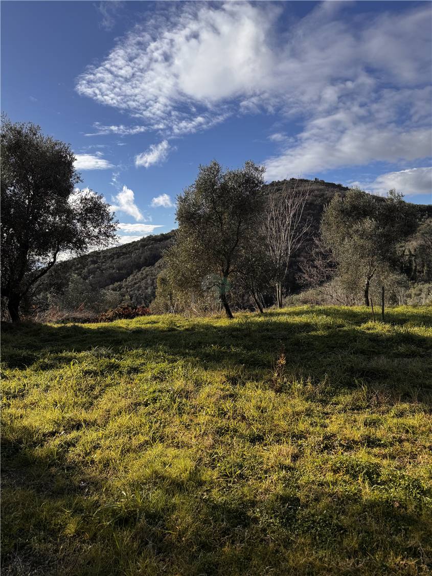 Venta Villa unifamiliar Monsummano Terme GrottaGiusti-Segalare #2901 n.2