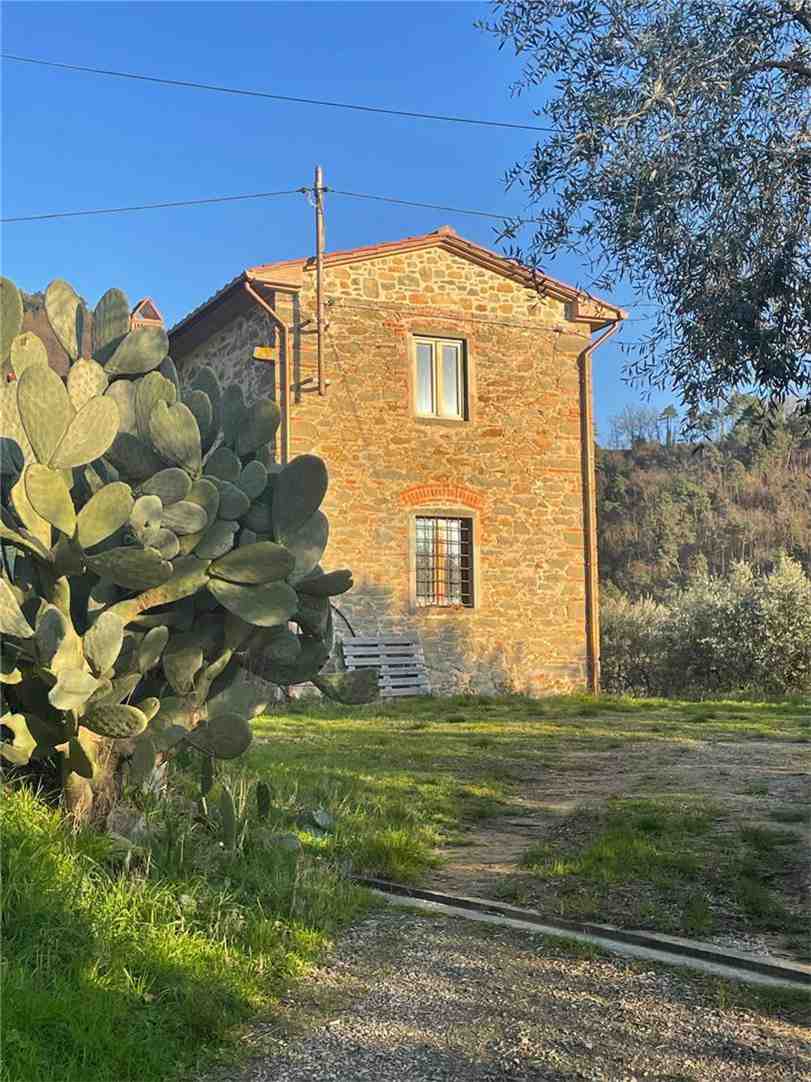 Rustico/Casa di campagna Larciano #0707