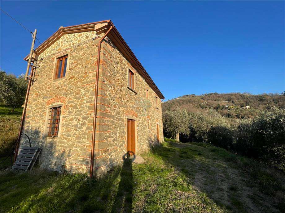 Vendita Rustico/Casa di campagna Larciano  #0707 n.2