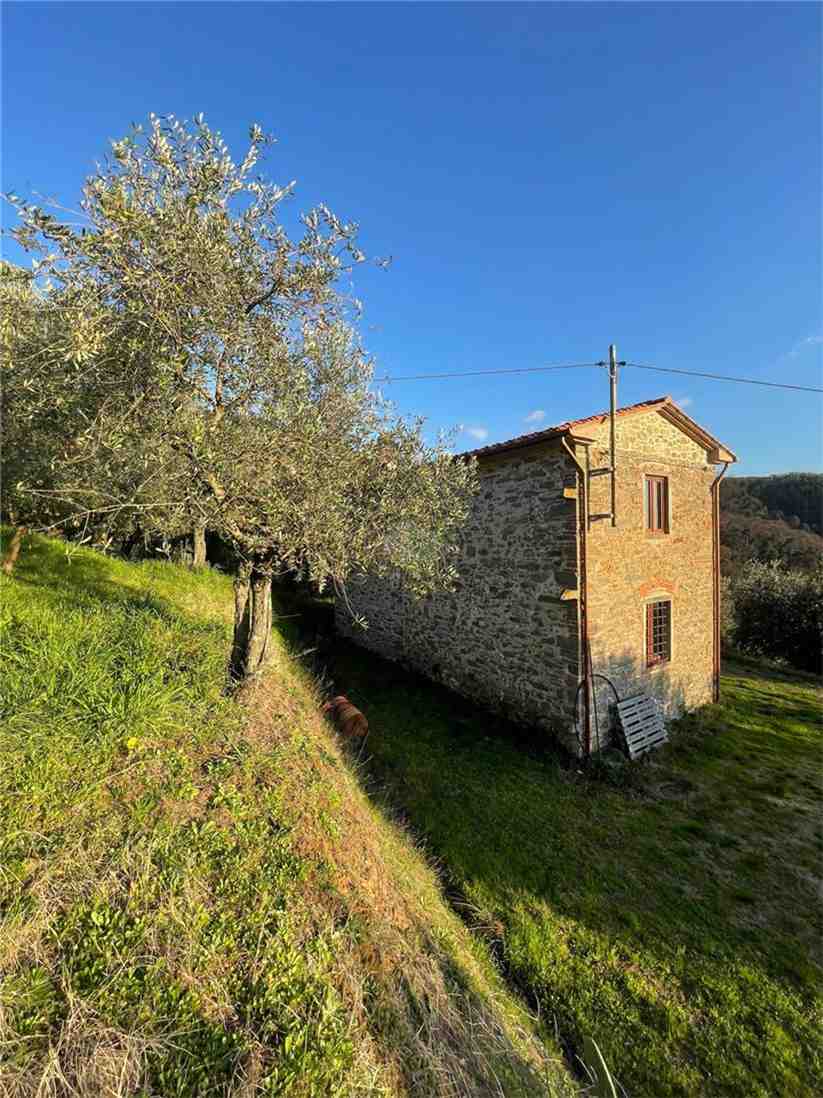 Vendita Rustico/Casa di campagna Larciano  #0707 n.3