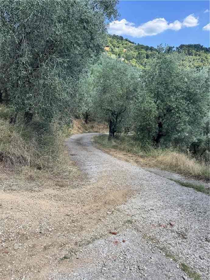Vendita Rustico/Casa di campagna Larciano  #0707 n.4