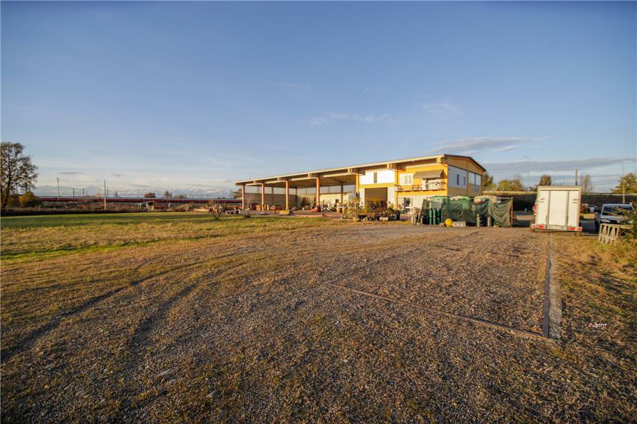 For sale Warehouse Settimo Torinese  #11 n.12