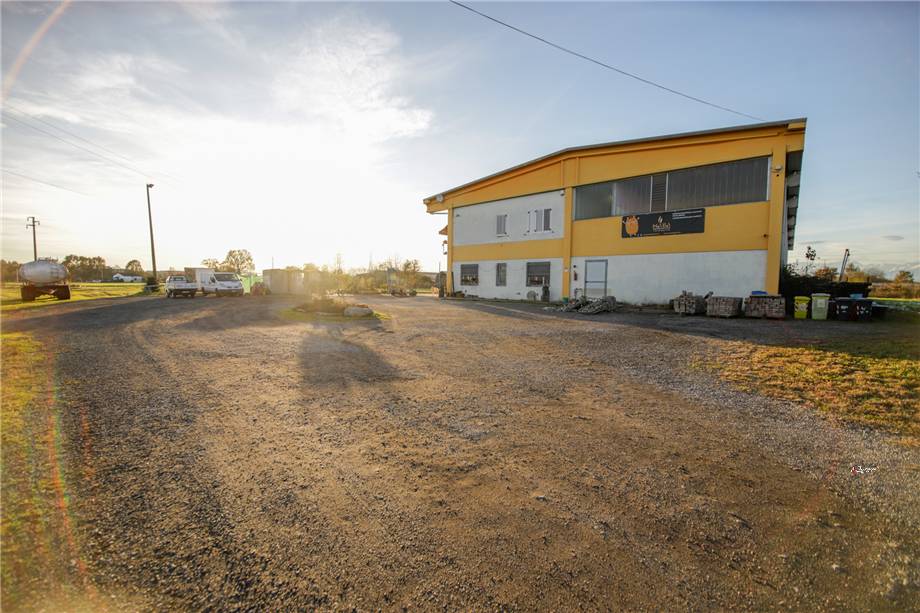 Venta Nave Settimo Torinese #11 n.16