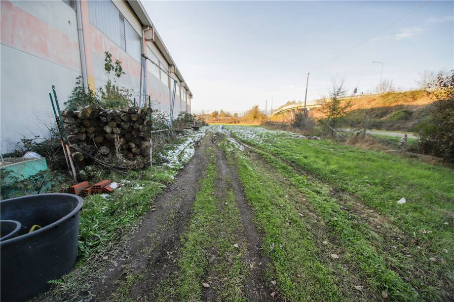 For sale Warehouse Settimo Torinese  #11 n.19