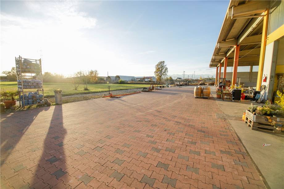 For sale Warehouse Settimo Torinese  #11 n.20