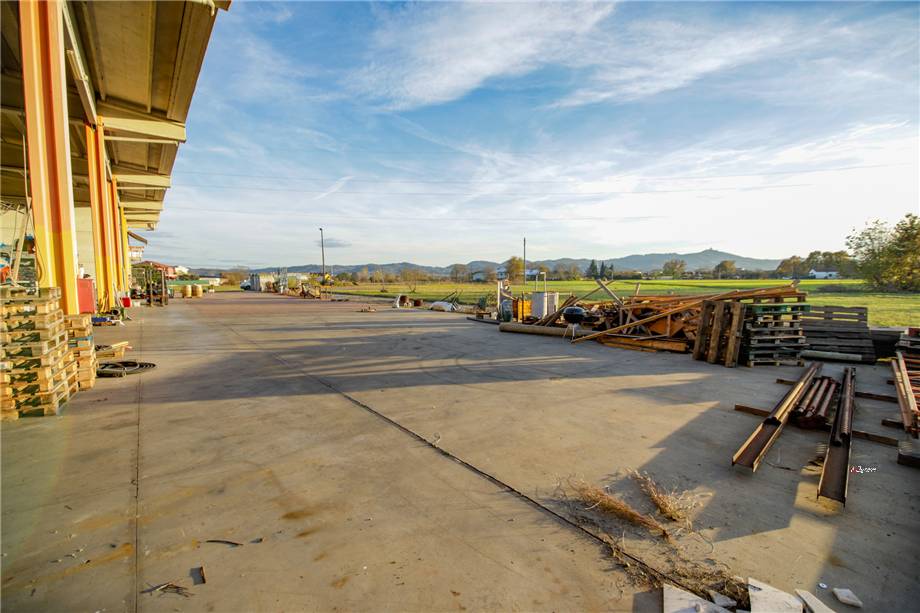 For sale Warehouse Settimo Torinese  #11 n.6