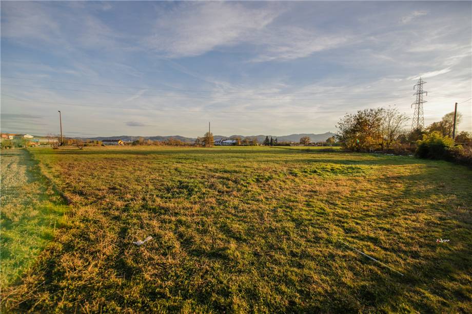 For sale Warehouse Settimo Torinese  #11 n.8