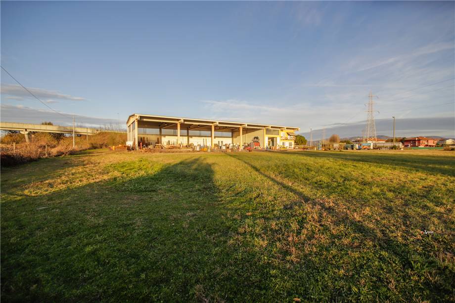 For sale Warehouse Settimo Torinese  #11 n.9