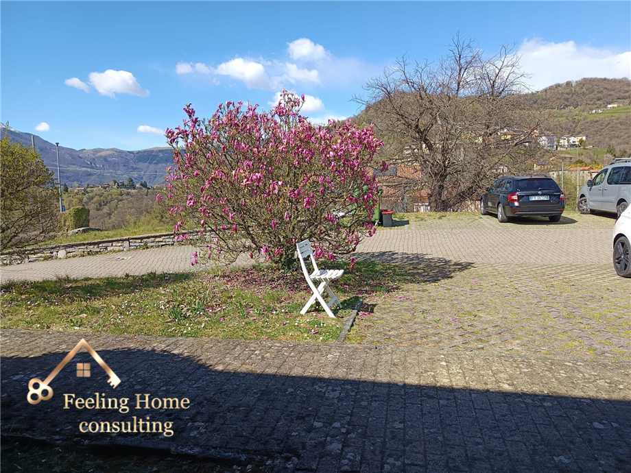 Vendita Open space Berbenno  #BE0426 n.2