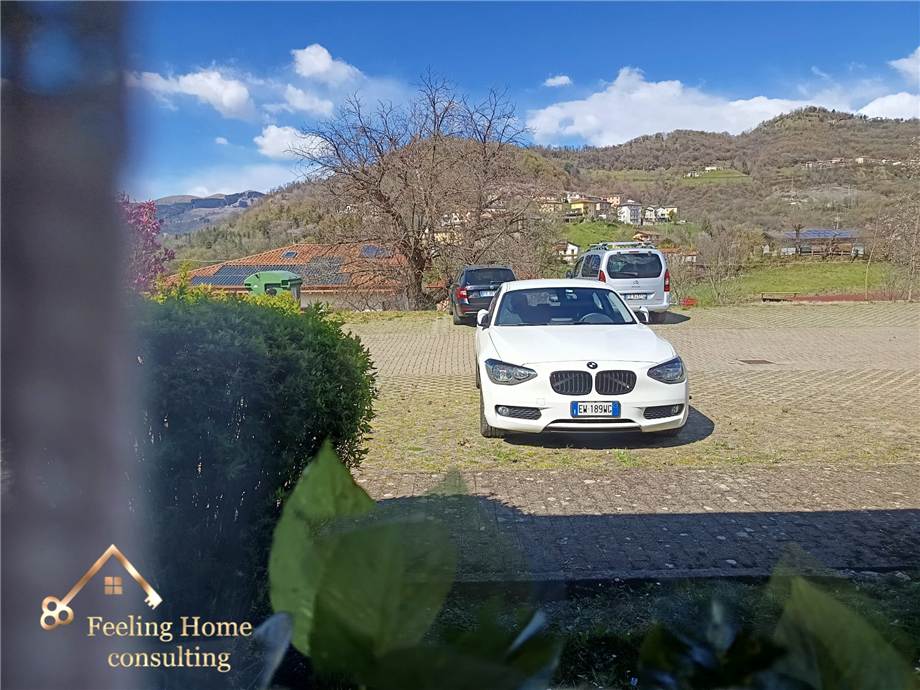 Vendita Open space Berbenno  #BE0426 n.23