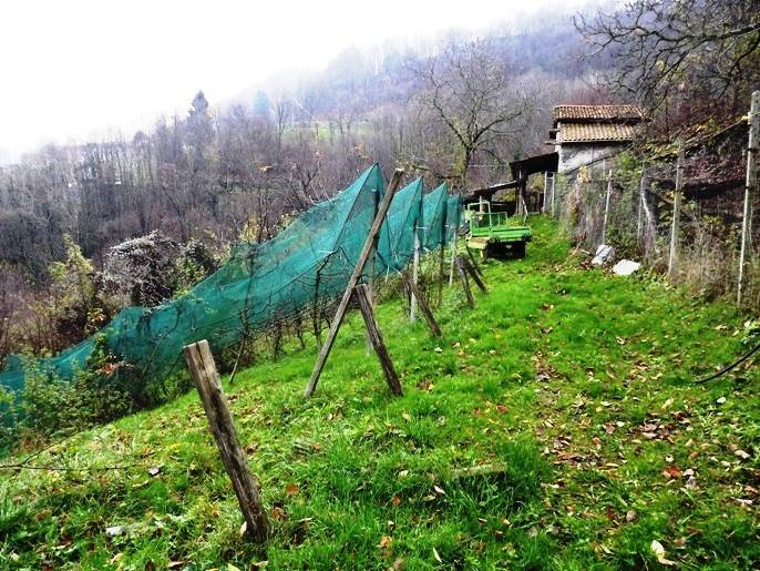 Vendita Rudere Val Brembilla  #RU-GE 0126 ID n.3