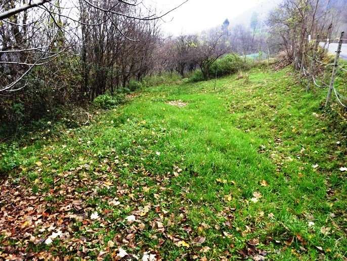 Vendita Rudere Val Brembilla  #RU-GE 0126 ID n.6