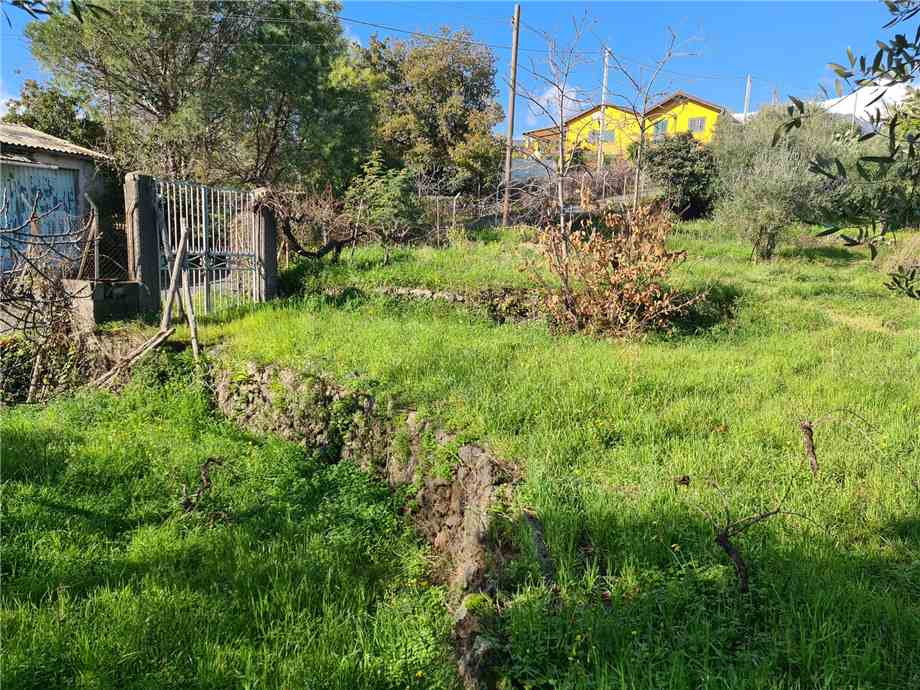 Terreno Santa Venerina 9