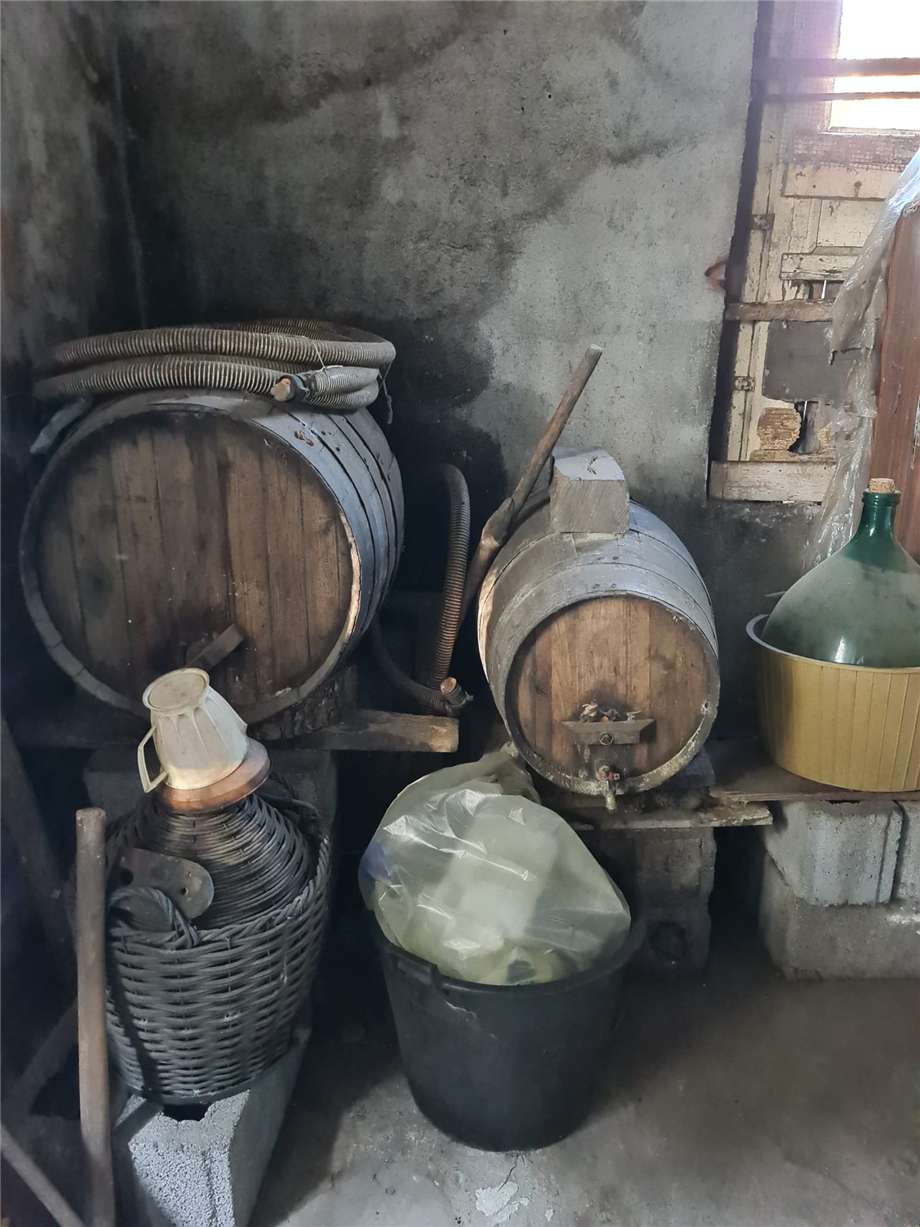 Venta Terreno Santa Venerina  #9 n.4