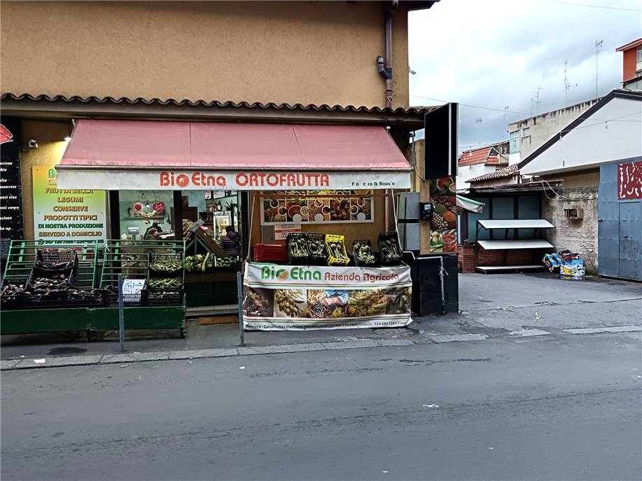 Frutería Catania 19