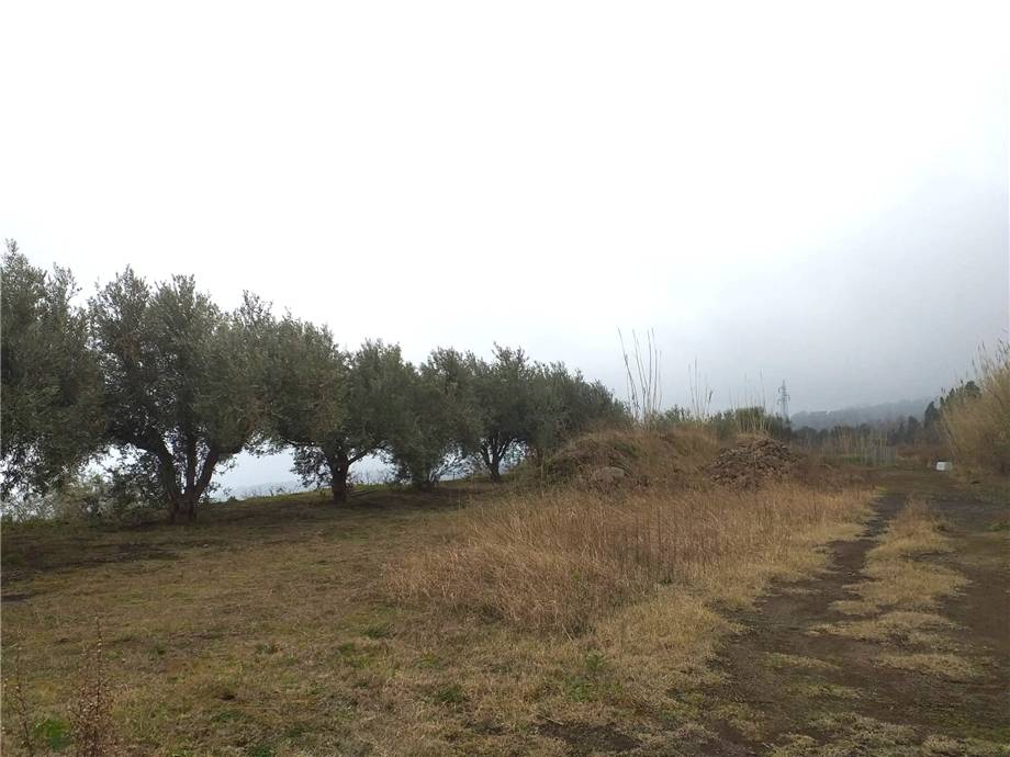 Venta Terreno edificable Sant'Alfio  #36 n.5