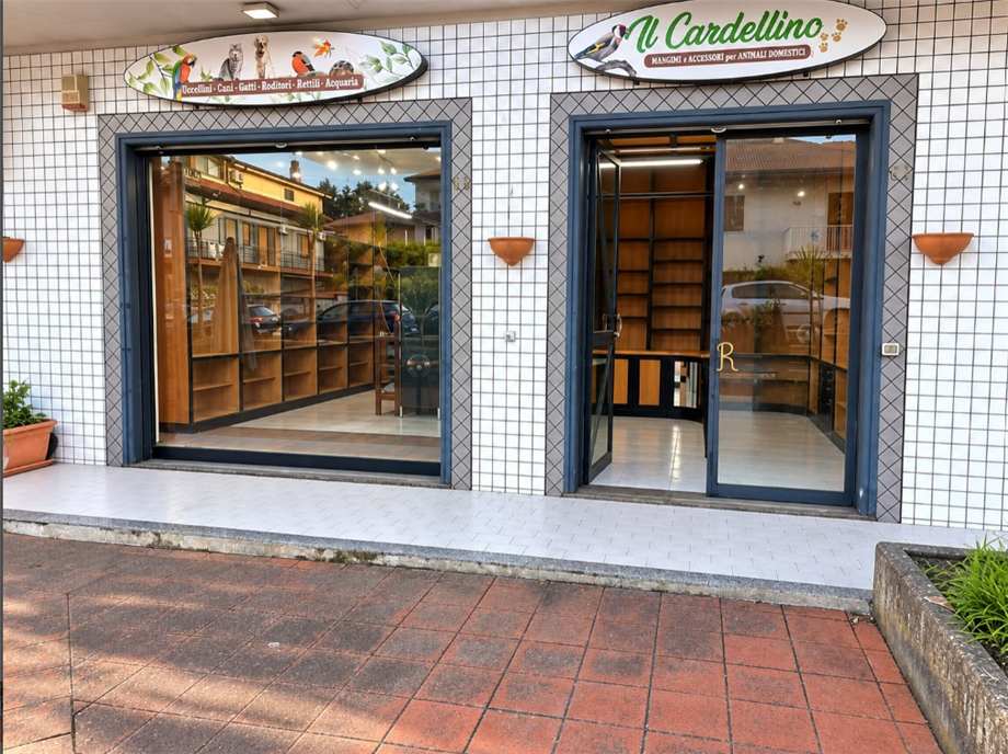 Venta Negocio Pedara  #76 n.3