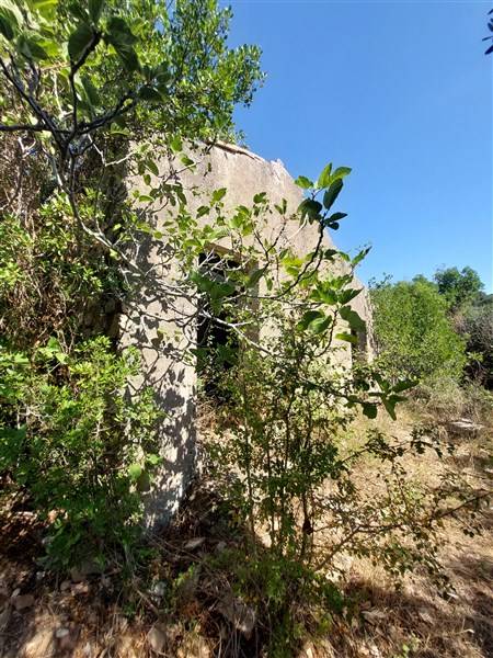Rudere Rio #01