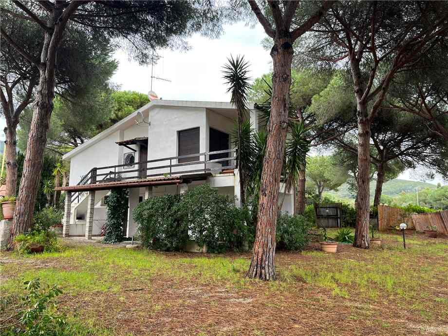 For sale Single-family Villa Capoliveri Lacona #403 n.3