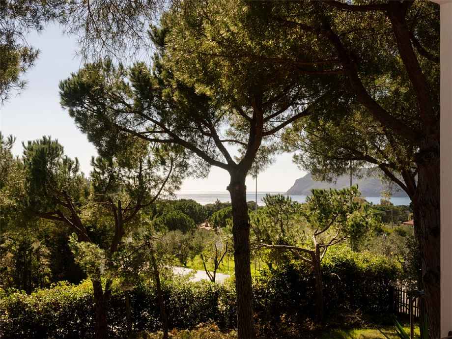 For sale Single-family Villa Capoliveri Lacona #403 n.5