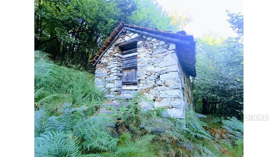 Venta Casa unifamiliar Casale Corte Cerro ARZO #53 n.1