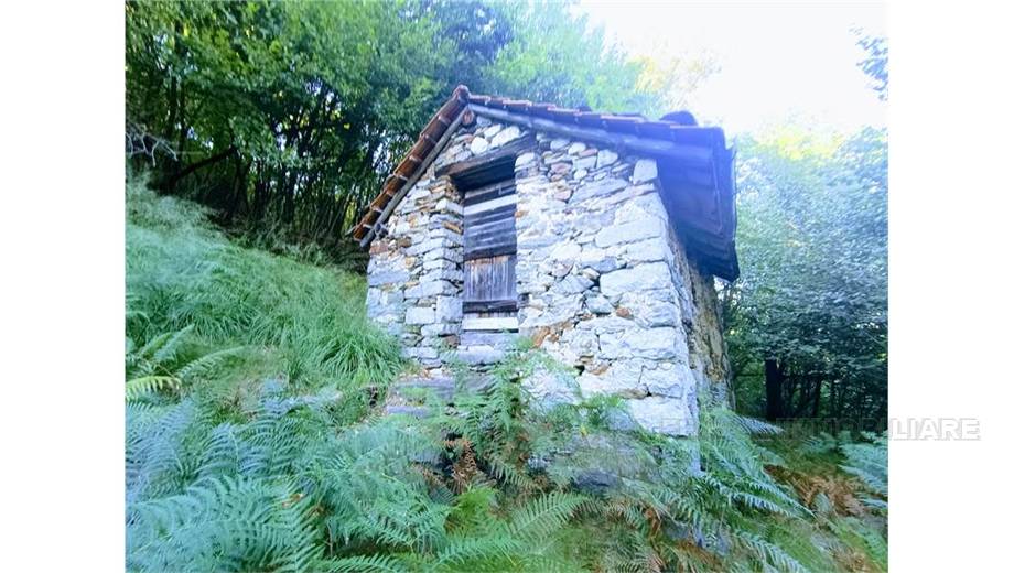 Venta Casa unifamiliar Casale Corte Cerro ARZO #53 n.2