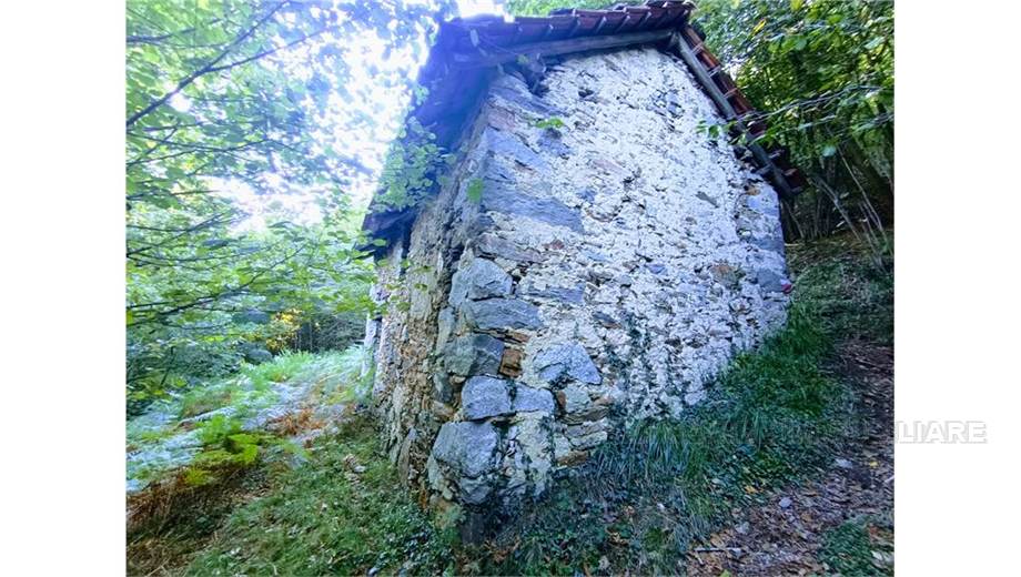 Venta Casa unifamiliar Casale Corte Cerro ARZO #53 n.3