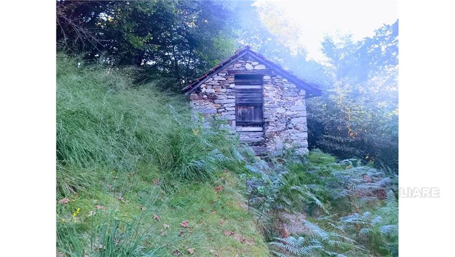 Venta Casa unifamiliar Casale Corte Cerro ARZO #53 n.4