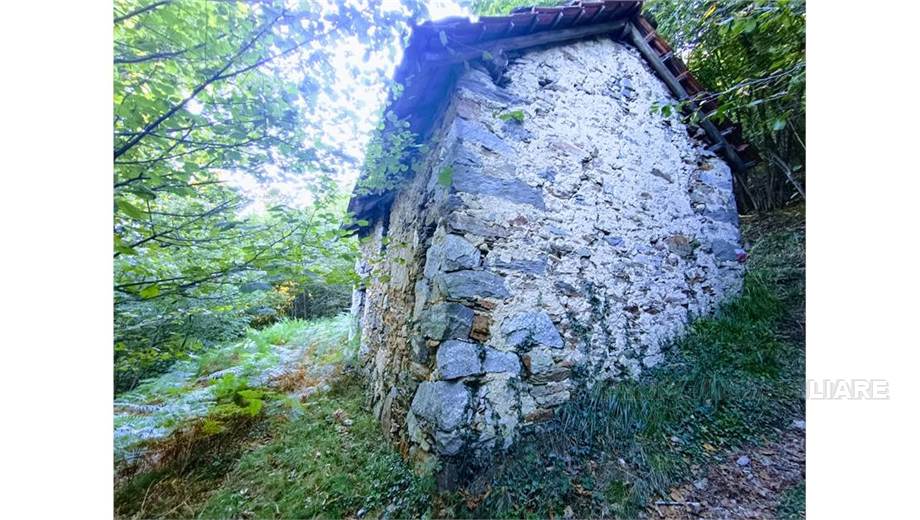 Venta Casa unifamiliar Casale Corte Cerro ARZO #53 n.5