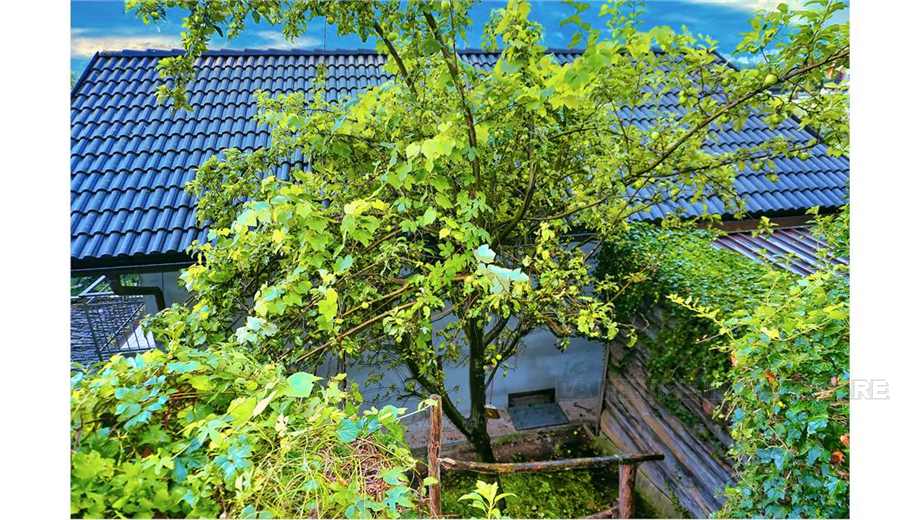 Venta Casa unifamiliar Beura-Cardezza CUZZEGO #58 n.4