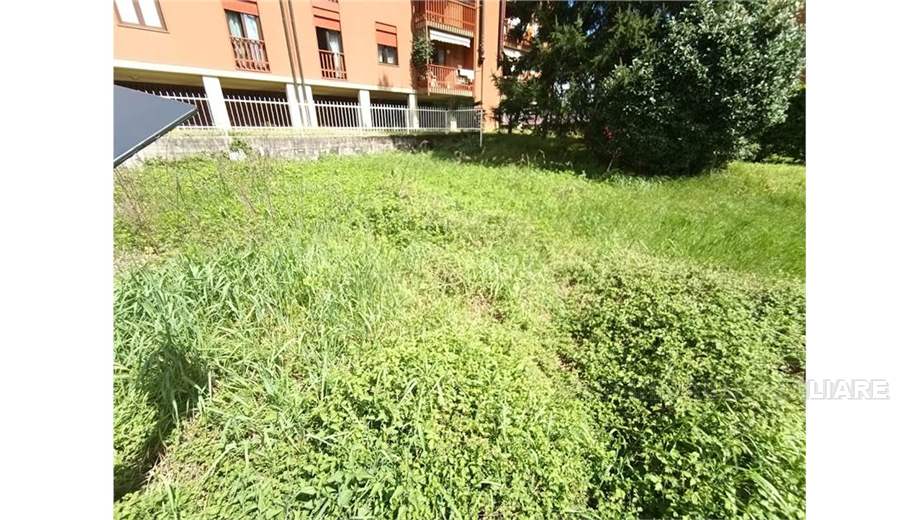 Venta Ruina Domodossola #69 n.4