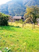 For sale Tipical Alps house Piedimulera CIMAMULERA #V000890 n.2