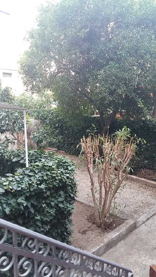 Vendita Appartamento Porto Azzurro  #PA168 n.5