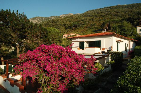 Villa/Casa singola Marciana #MA29