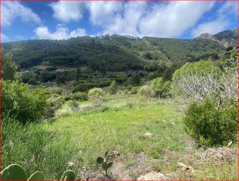 For sale Detached house Porto Azzurro  #PA293 n.7