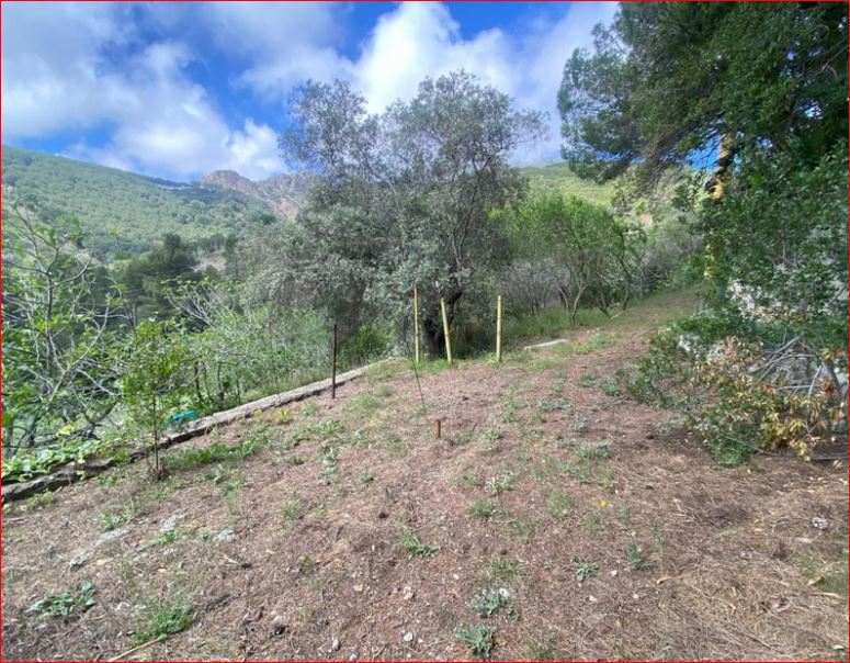 For sale Detached house Porto Azzurro  #PA293 n.8