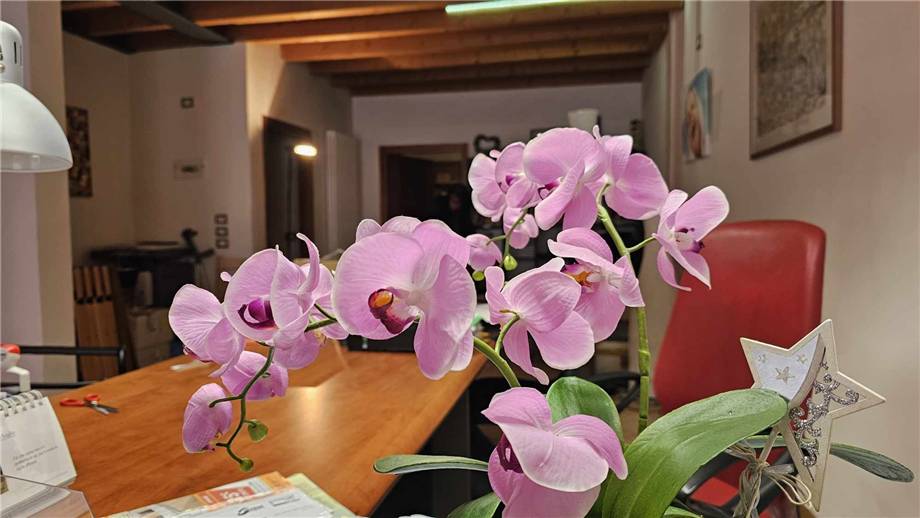 For sale Other commercials Belluno BELLUNO CENTRO STORICO #431 n.2