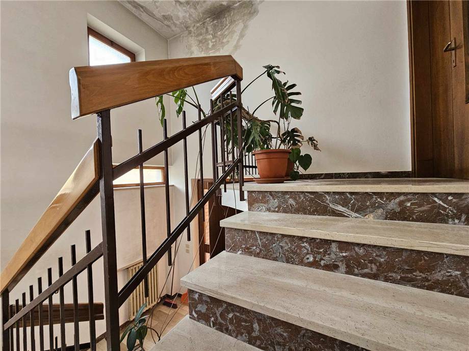 Vendita Villa/Casa singola Belluno  #357 n.13